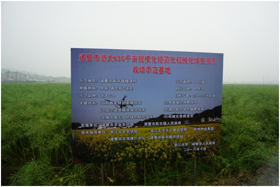 我國著名油菜專家官春云院士考察‘浙大630’ 綠色高質栽培現場3.png