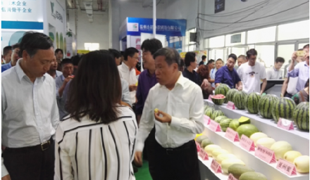 杭種集團水果玉米新品種‘金銀208’成浙江種博會‘爆款’