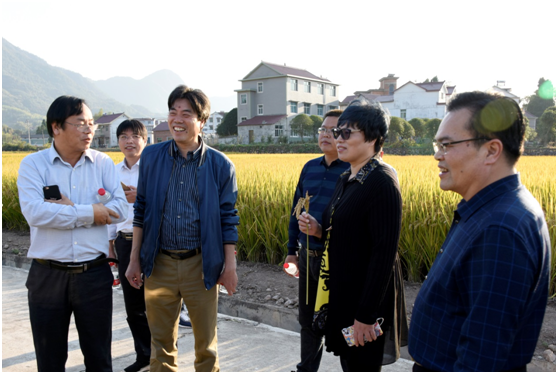 杭州市農(nóng)業(yè)局和財政局領(lǐng)導(dǎo)考察杭種集團(tuán)水稻超高產(chǎn)示范現(xiàn)場2.png