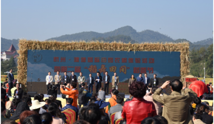 農(nóng)耕文化在杭種集團水稻高產(chǎn)示范方舞動