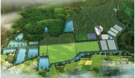 種業集團成功申報杭州市院士工作站