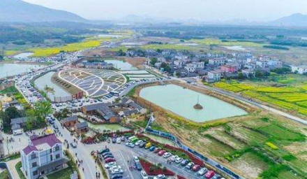 集團微農項目走出浙江探索發展新空間