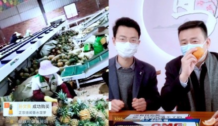 拼多多“農貨產銷對接活動”上線：市長縣長齊直播，一天售出百萬斤農貨