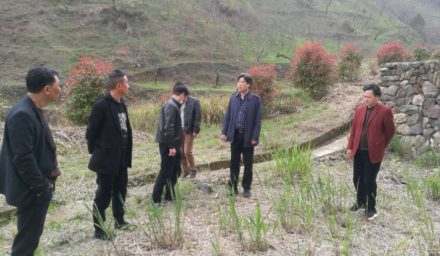 孫利祥董事長赴清涼峰鎮指導春耕生產