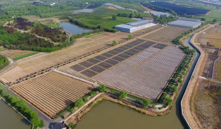 2020全國·浙江鮮食玉米大會系列報道之一——前期準備階段