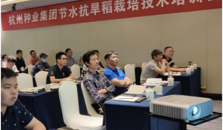 杭州種業(yè)集團以科技助推糧食增產(chǎn)保供能力