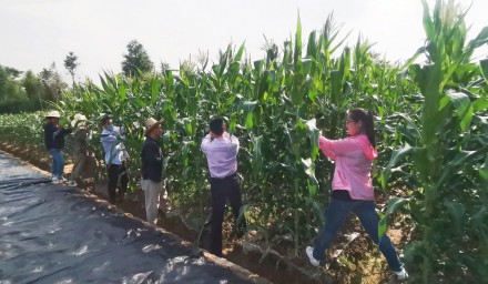 學技能 煉意志 強擔當 杭州種業(yè)集團深化青年員工培養(yǎng)鍛煉工程