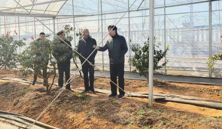 董事長(zhǎng)前往種科院指導(dǎo)農(nóng)作物和建筑工地防寒工作