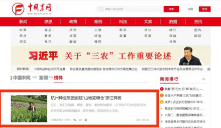 “榜樣”案例！中國農業新聞網報道 種業集團創建“山地變糧倉”樣板事跡