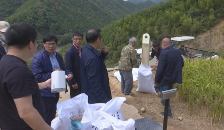 578.8公斤！杭州種業(yè)集團(tuán)再創(chuàng)新墾耕地水稻旱種旱管高產(chǎn)