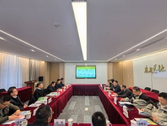 三明市委常委、副市長胡帥一行到杭州種業集團考察交流