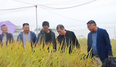 浙江省農(nóng)科院院長林福呈蒞臨集團(tuán)基地調(diào)研指導(dǎo)