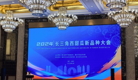 喜報：集團品種 ‘浙甜105’ ‘蘭芯’再獲嘉獎！
