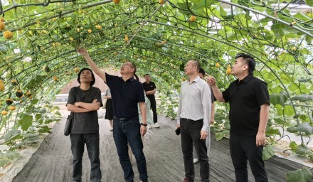 中商（浙江）現代農業、瑞安市農業農村局與杭州種業集團深化合作交流