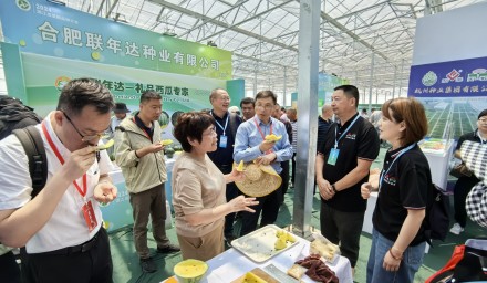 杭種“芯”動力，點亮2024浙江瓜菜新品種大會