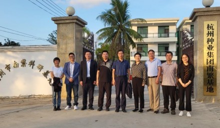 浙江省農(nóng)科院副院長李國景一行蒞臨杭州種業(yè)集團(tuán)南繁基地調(diào)研指導(dǎo)